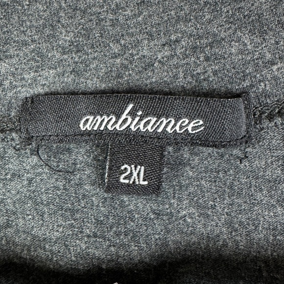 Ambiance Dark Gray Deep V-Neck Tee Women's Junior 2X Short Sleeve - Picture 6 of 7